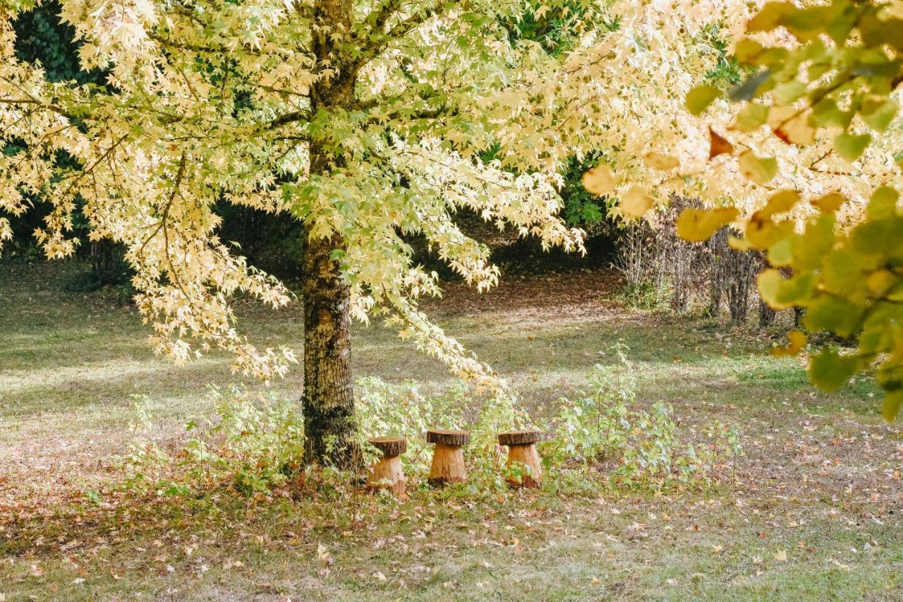 Maison Cistus - Maison D'Hotes De Charme - Suites Et Gite Avec Terrasses Privees - Proche De Sarlat, Au Coeur De La Nature Luaran gambar