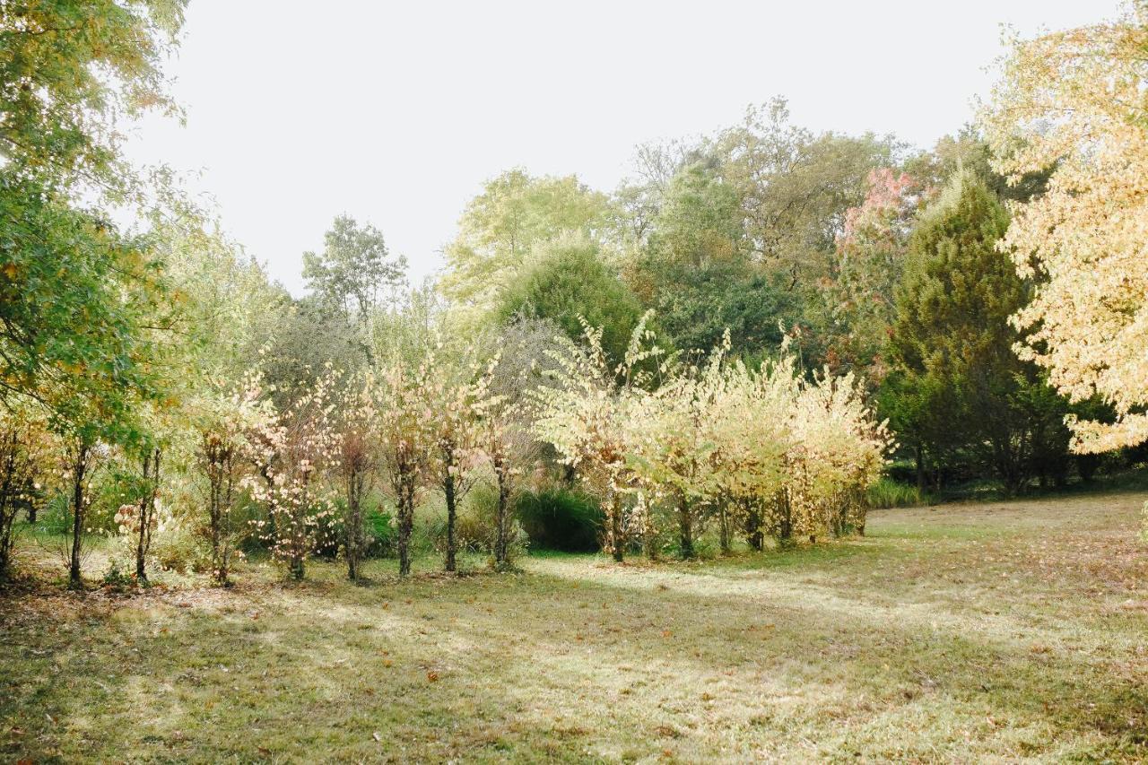 Maison Cistus - Maison D'Hotes De Charme - Suites Et Gite Avec Terrasses Privees - Proche De Sarlat, Au Coeur De La Nature Luaran gambar